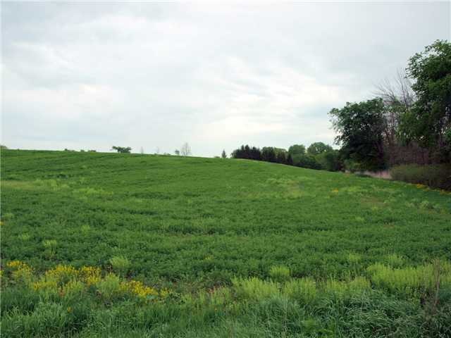 Primary Photo
