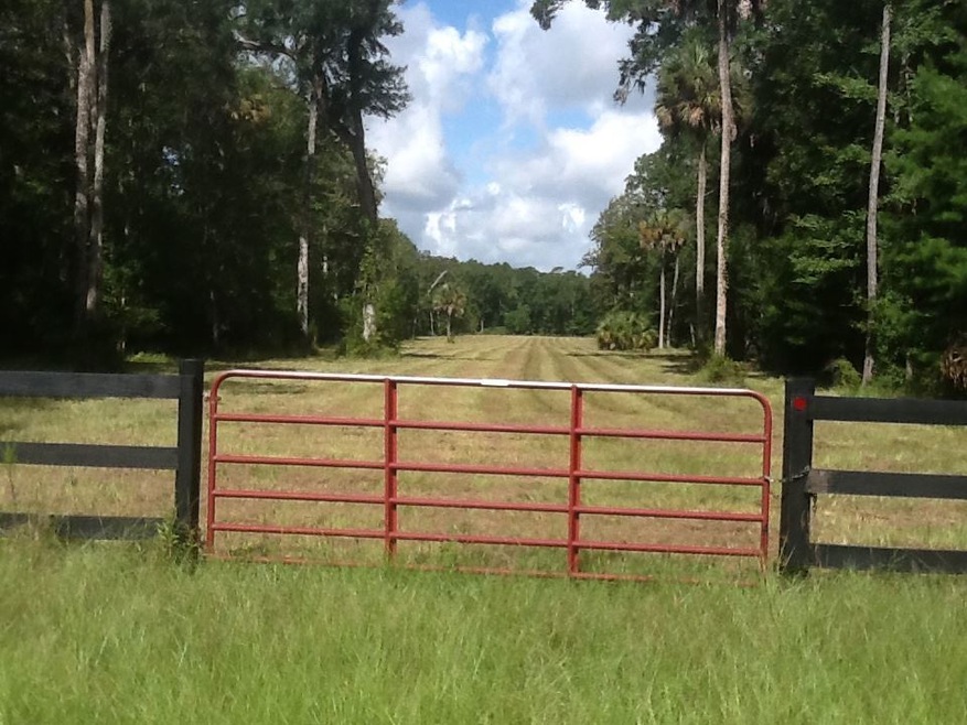 Lot 4 Hardwood Hammock Subd, Saint Marks, FL 32327 - photo 1
