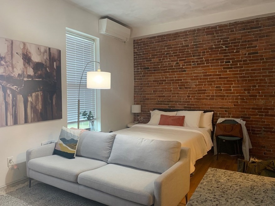 147 Worcester St unit 4, Boston, MA 02118 - photo 1