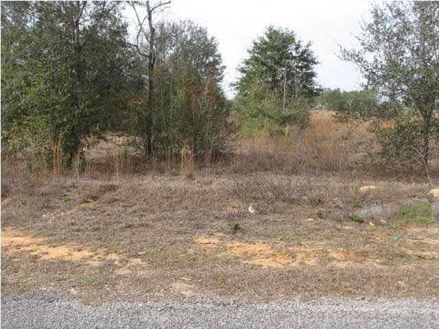 Ginnie Trail - 1.03 acres