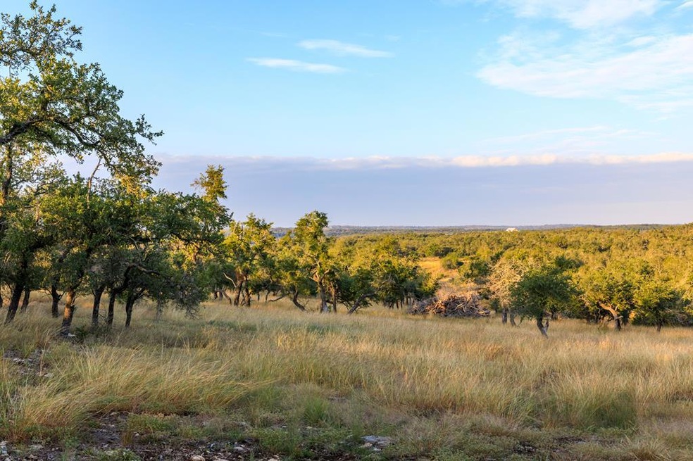 6690 Ranch Road 965, Fredericksburg, TX 78624 - photo 1