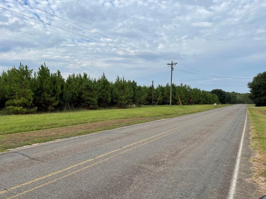 XXX Rushingtown Rd, Tylertown, MS 39667 - photo 1
