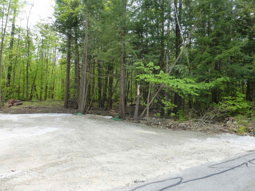 0 Swamp Rd, Epsom, NH 03234 - photo 1