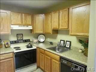 19 Scarborough Ln unit 19C, Wappingers Falls, NY 12590 - photo 1