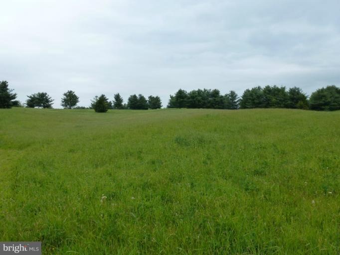 0 Milldale Rd unit 1003971112, Front Royal, VA 22630 - photo 1