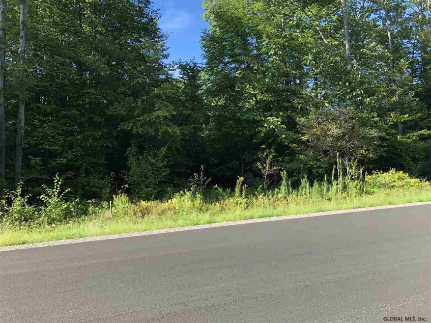 30 Lincoln Mountain Rd, Greenfield Center, NY 12833 - photo 1