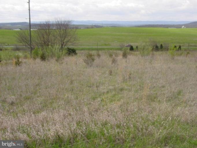 0 Highview unit 1005274306, Mount Jackson, VA 22842 - photo 1