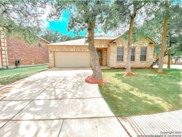 24319 Haeli Park, San Antonio, TX 78255 - photo 1