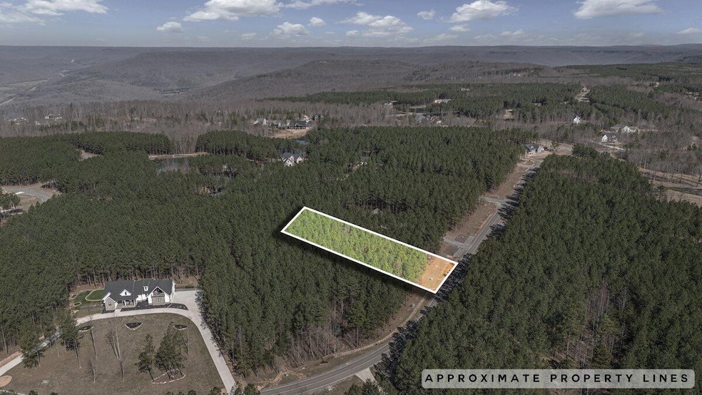 3940 Crockett Point, Jasper, TN 37347 - photo 1