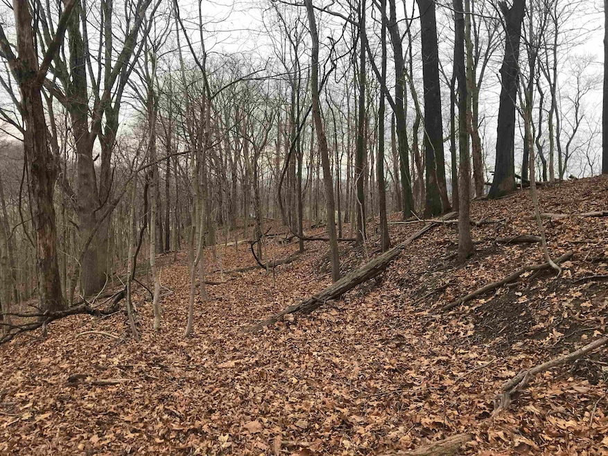 For Sale $60,000 • Co-Listing Agent