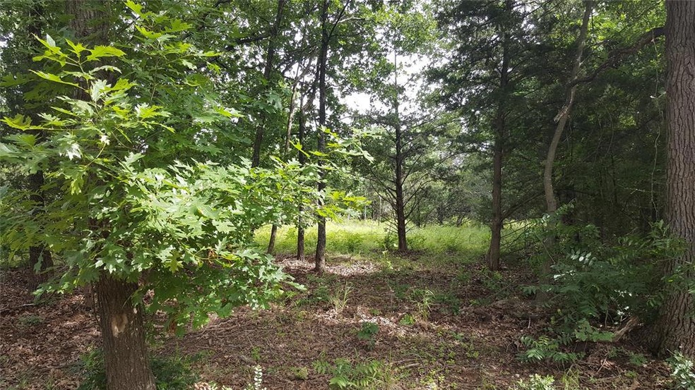 Lot 76 Riner Rd, Pottsboro, TX 75076 - photo 1