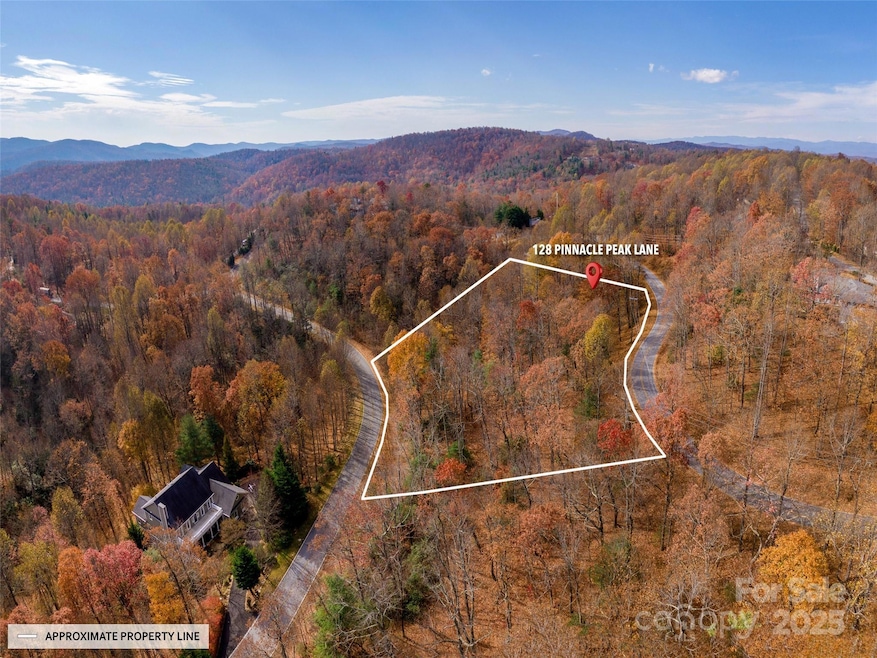 128 Pinnacle Peak Ln, Flat Rock, NC 28731 - photo 1