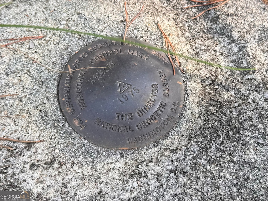 Top of Hickory Nut Mountain