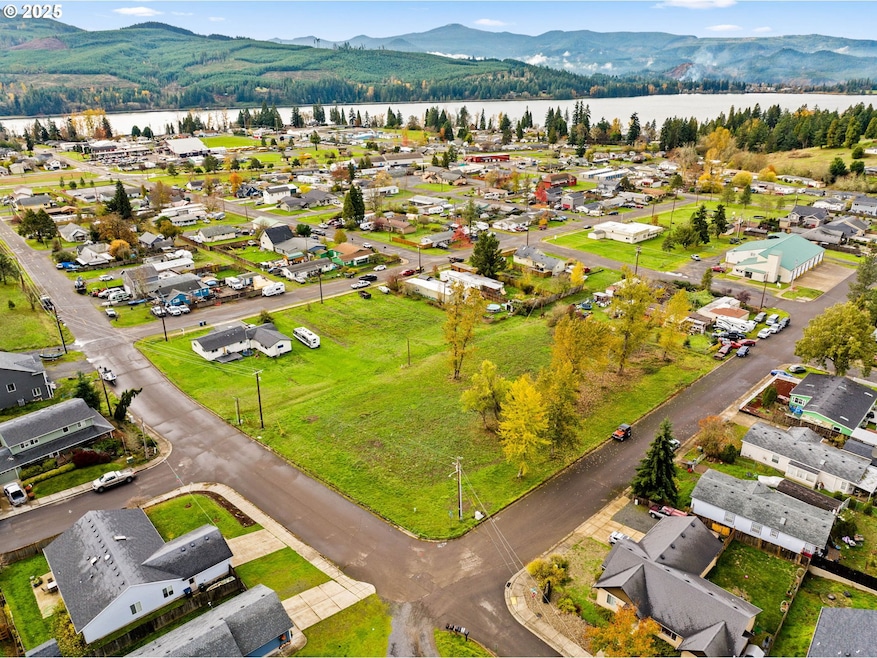 287 E 3rd St, Lowell, OR 97452 - photo 1