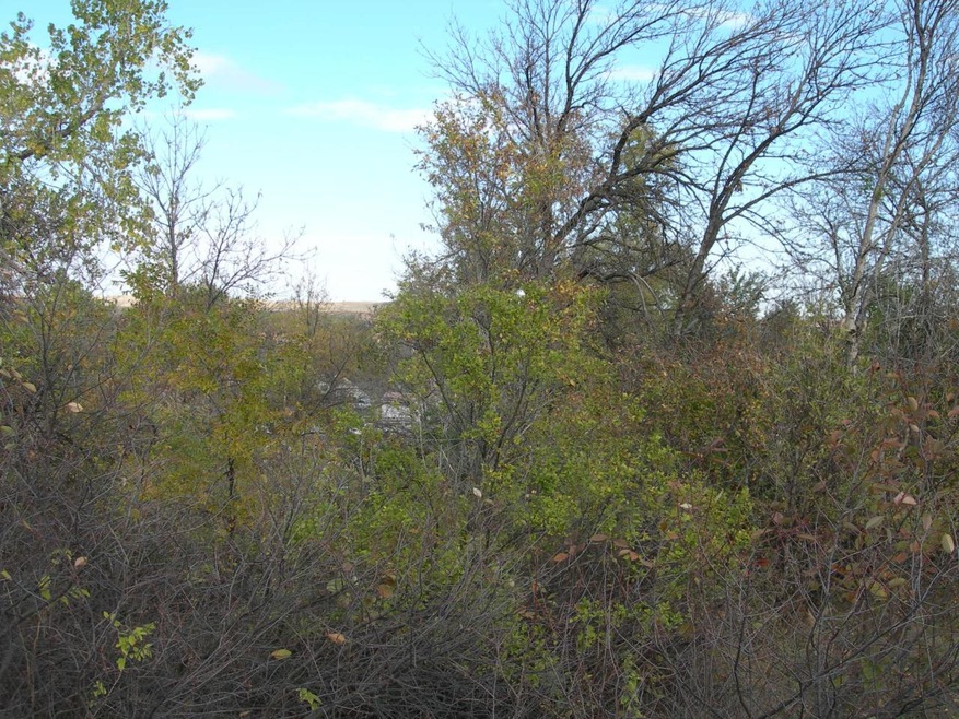Lot 03A View