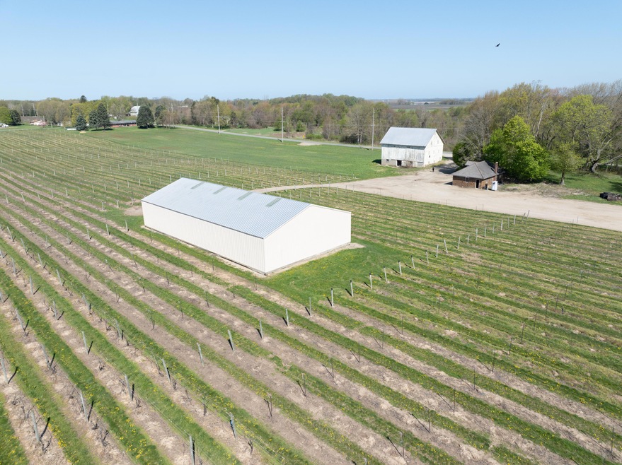DJI_0356
