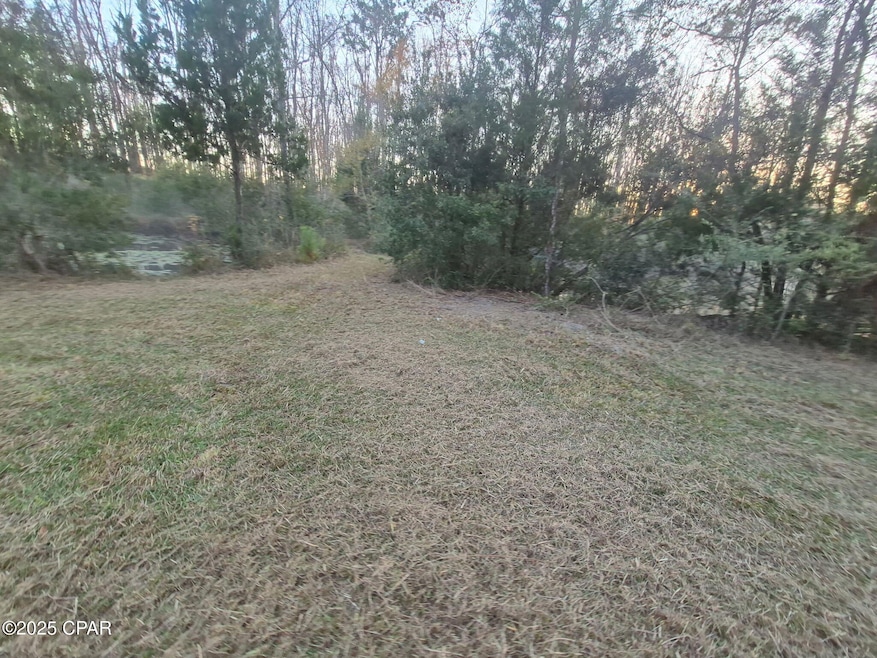 000 Windy Lewis Rd, Bonifay, FL 32425 - photo 1