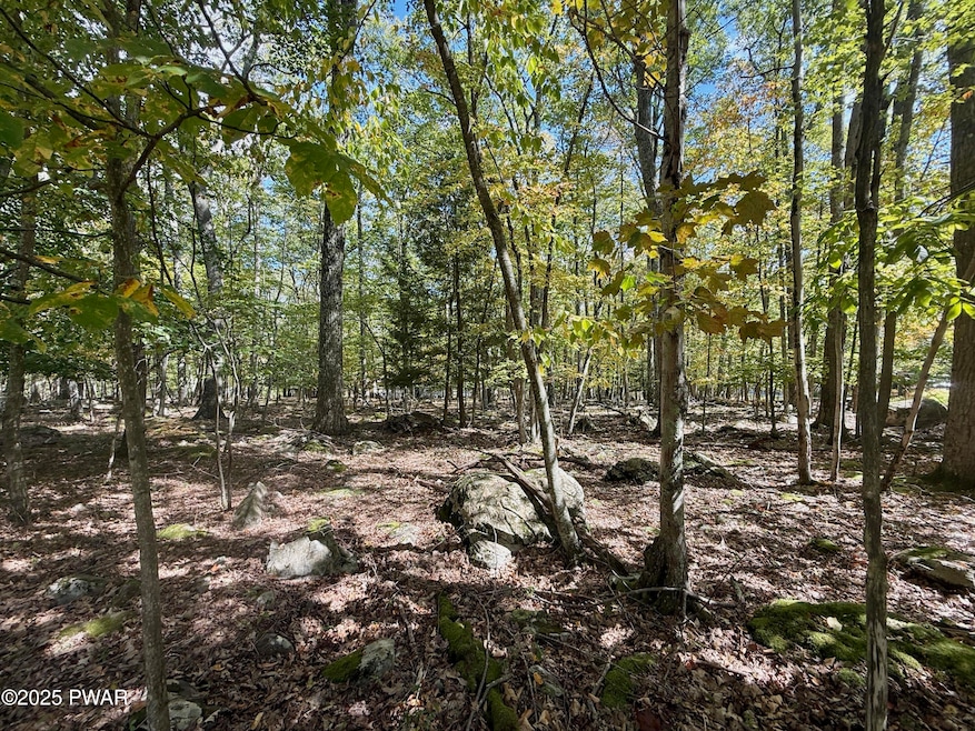 0 Paper Birch Rd N, Tafton, PA 18464 - photo 1