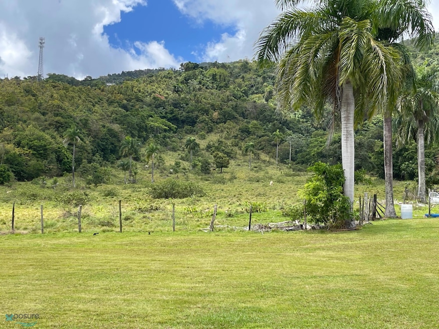 Interior Carr #969, Naguabo, PR 00718 - photo 1