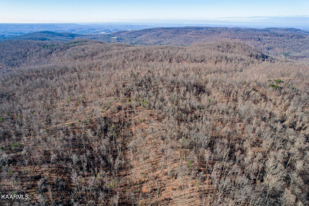 69AC Board Valley Rd, Cookeville, TN 38501 - photo 1