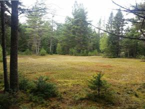 10 Gingerbread Rd, Franconia, NH 03580 - photo 1