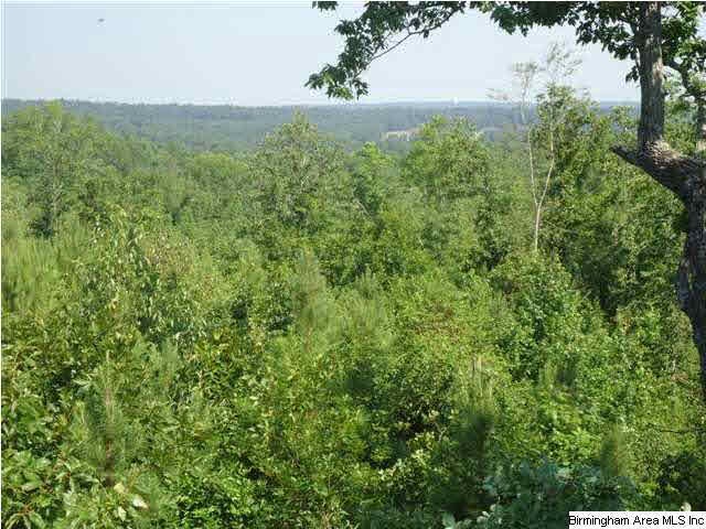 This property has so much to offer with nice level