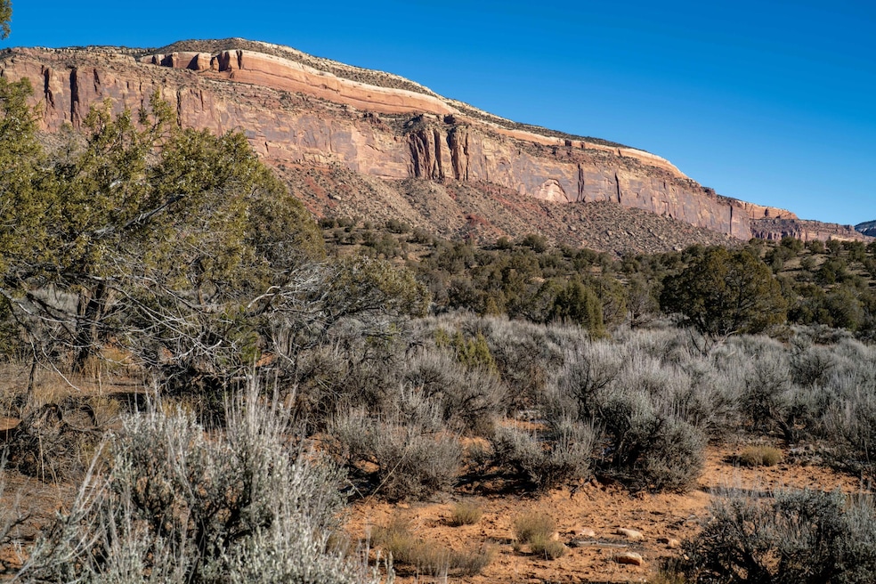 0 Tbd unit 42825, Paradox, CO 81429 - photo 1