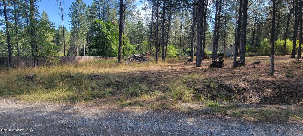 MLS - 1