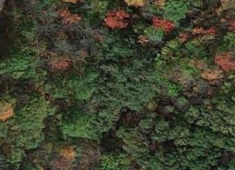 00deeringridgephoto1