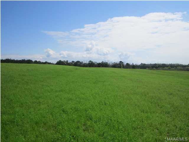 Gentle slope on property.