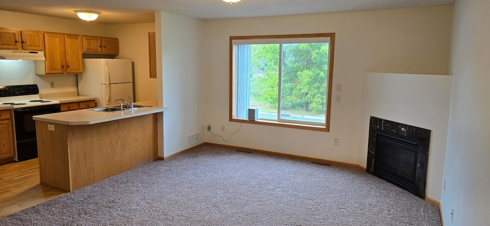 5293 Manchester Dr unit 4, Maple Plain, MN 55359 - photo 1