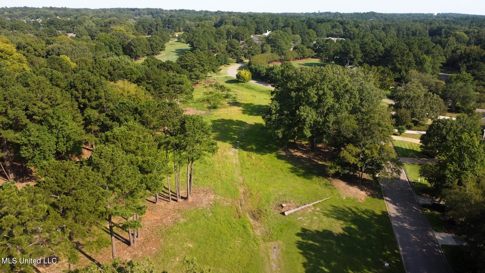 Annandale Property-22