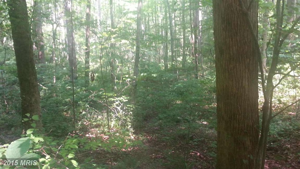 0 High Rd unit 1003155774, Madison, VA 22727 - photo 1