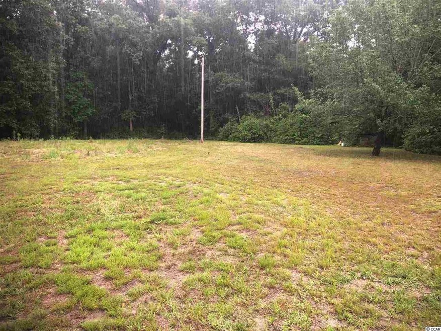 2251 Cane Branch Rd, Loris, SC 29569 - photo 1