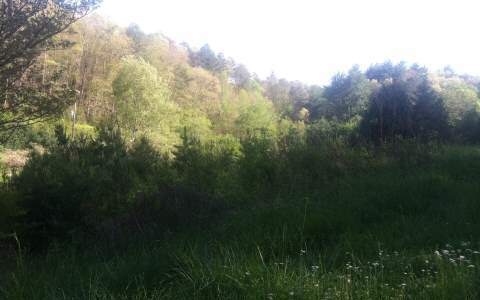 670 Northcutt Rd, Ellijay, GA 30540 - photo 1