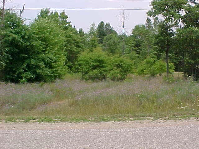 018 pic1