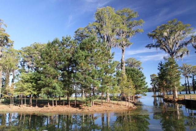 514 Lake Shore Dr, Florala, AL 36442 - photo 1