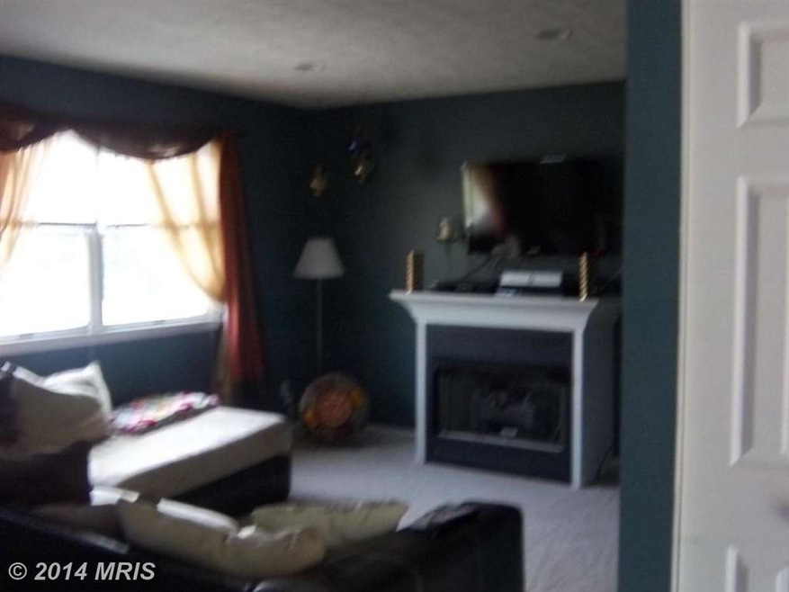 3271 Specks Run Rd, Bunker Hill, WV 25413 - photo 1