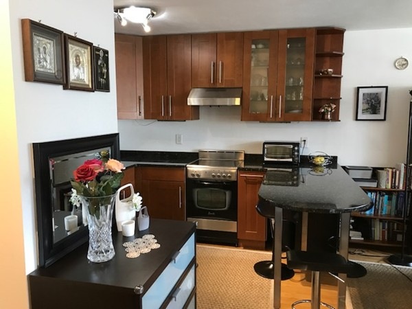 Hammond Park Condominiums unit 406, Chestnut Hill, MA 02467 - photo 1