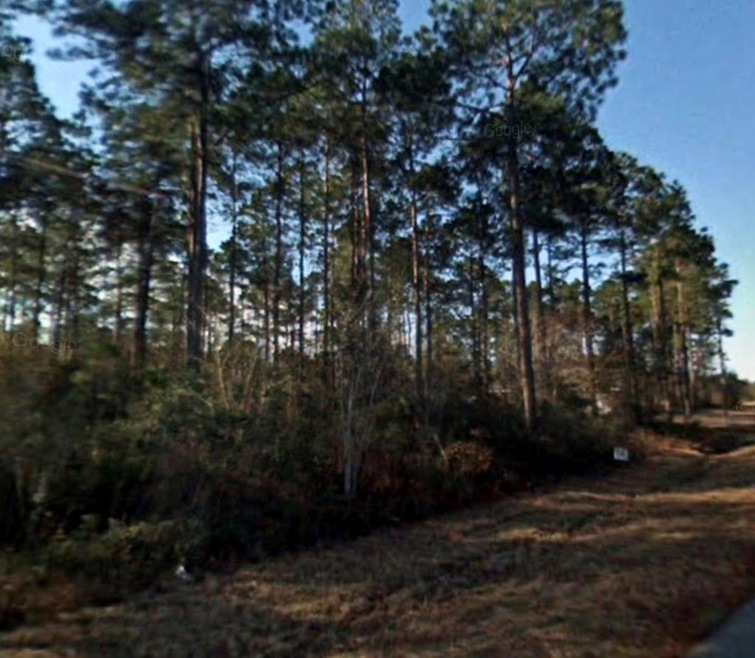 0 Jimmy St, Adel, GA - photo 1