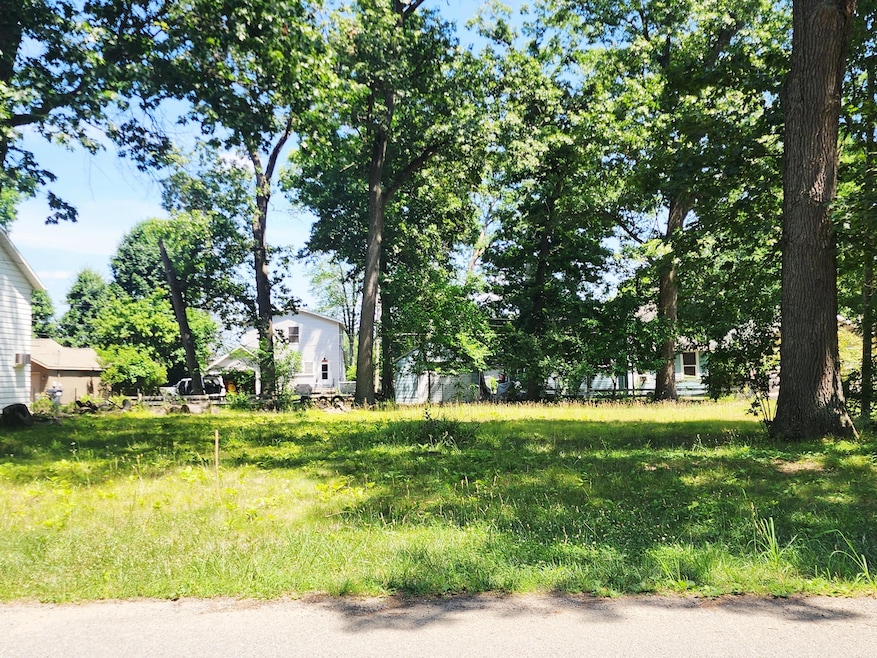 V/L 35 1 2 St, Paw Paw, MI 49079 - photo 1