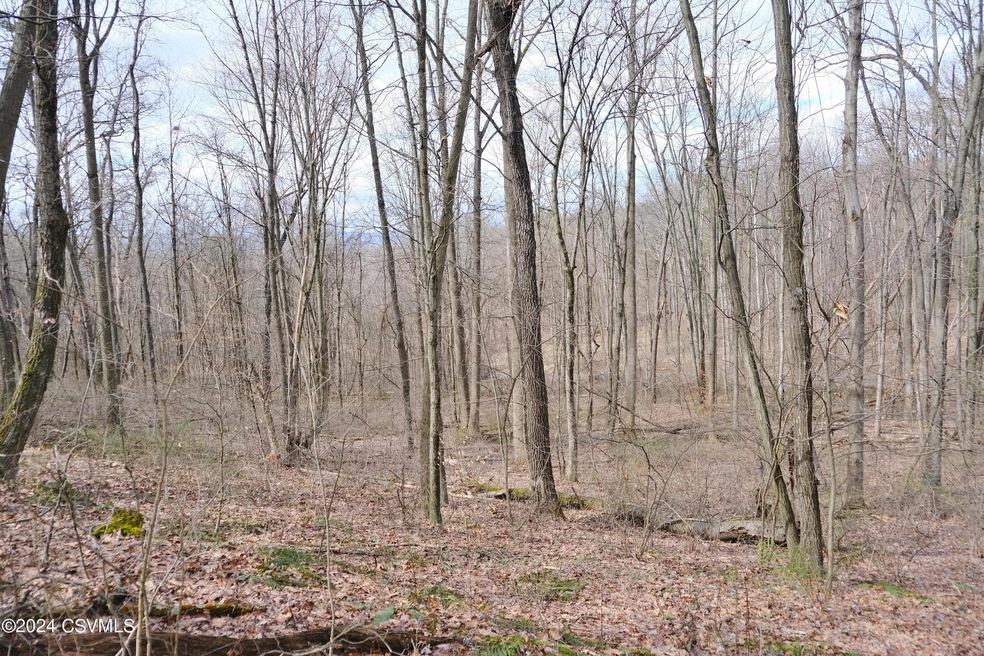 530 Tall Oak Ln, Lewisburg, PA 17837 - photo 1