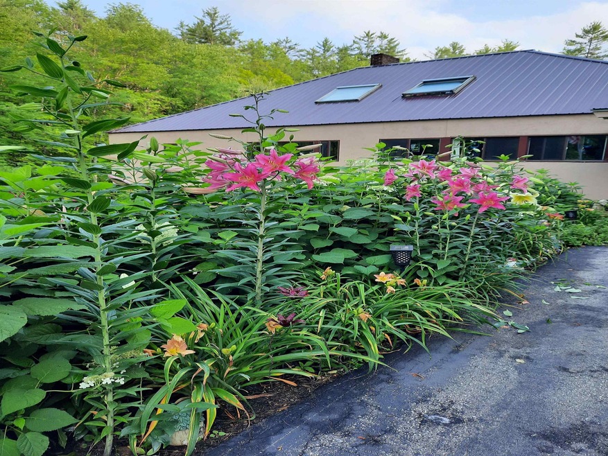 188 Swett Hill Rd, Freedom, NH 03836 - photo 1