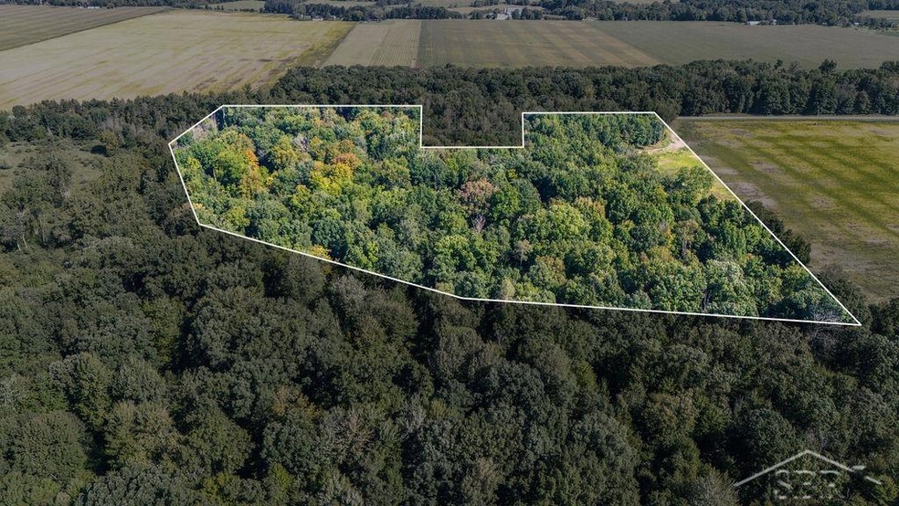 VL Ithaca Rd, Brant, MI 48614 - photo 1