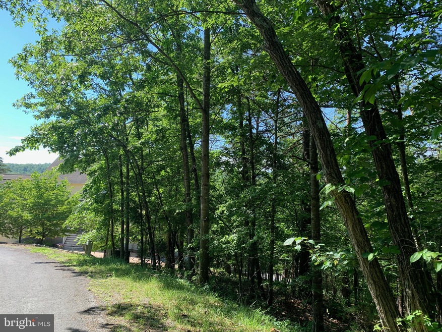 0 Lee Ashby Rd, Basye, VA 22810 - photo 1