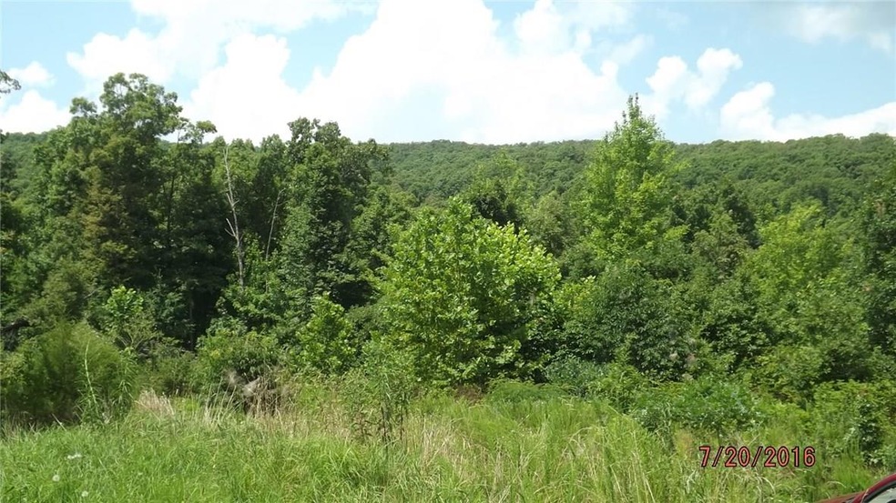 14114 Low Gap Rd, West Fork, AR 72774 - photo 1