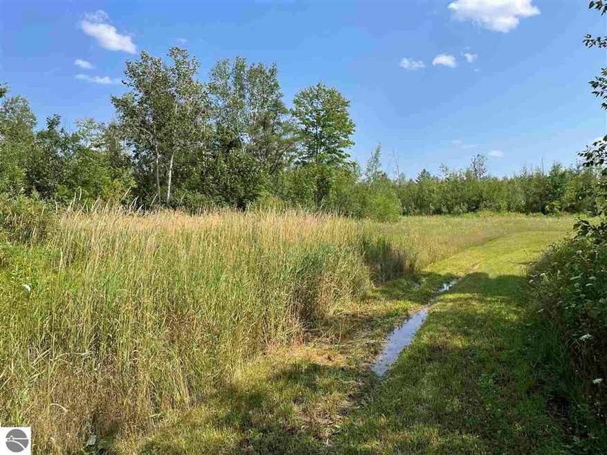 0 Esmond Rd unit 1890923, Hale, MI 48739 - photo 1