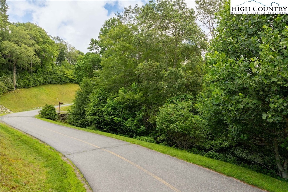 TBD Lot 217 Thunderhill Trail, Blowing Rock, NC 28605 - photo 1