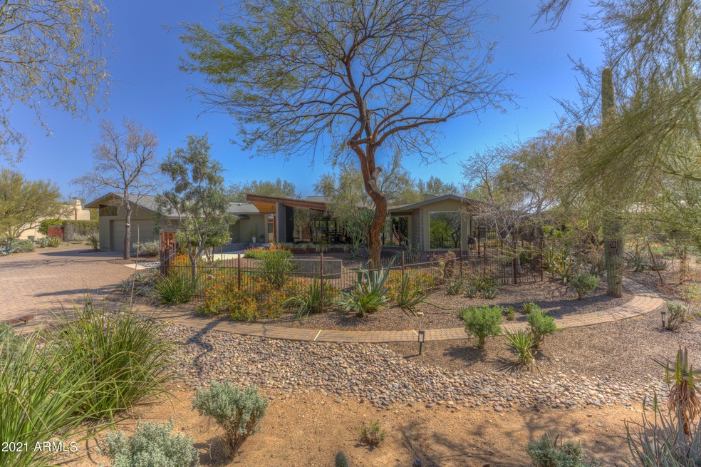 Oasis In The Desert