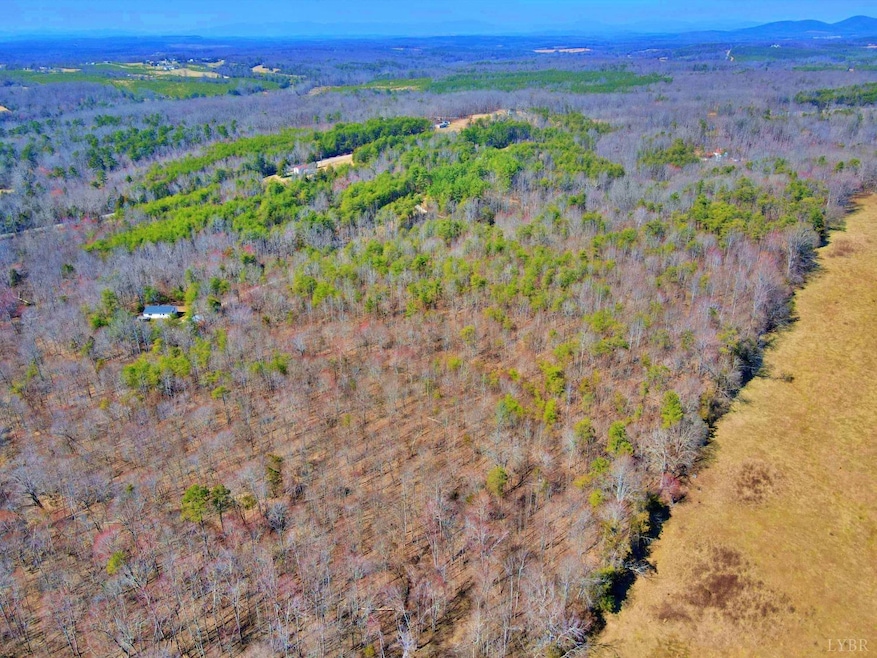 2 Watt Abbitt Rd, Appomattox, VA 24522 - photo 1